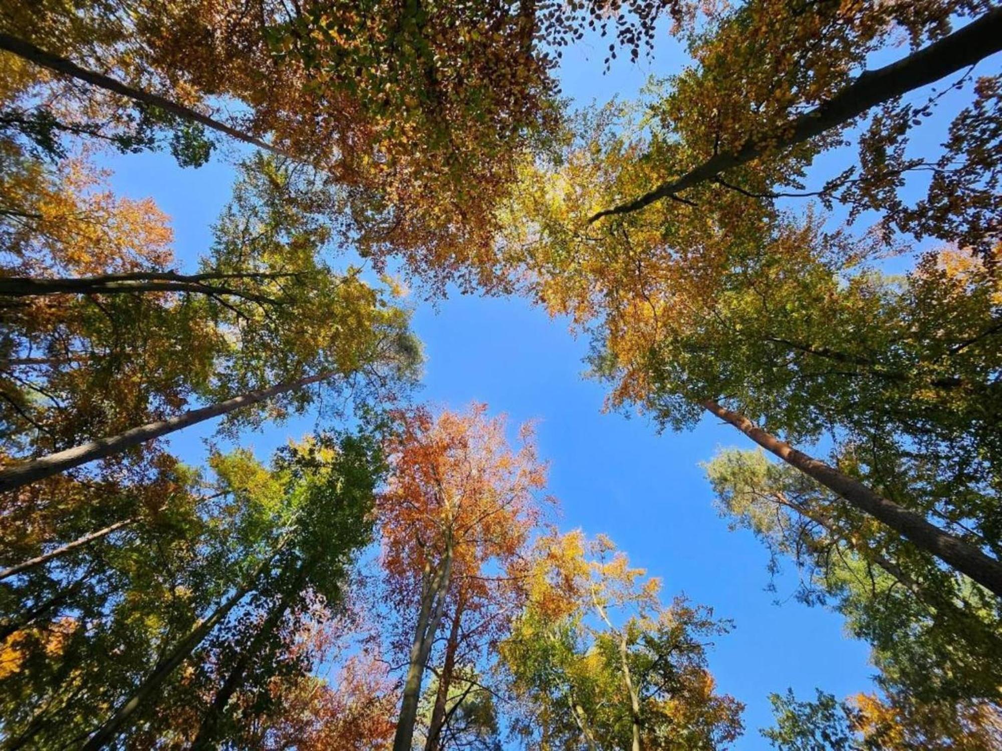 Ferienpark Mueritz In Rechlin-Nord Zewnętrze zdjęcie